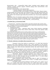 Tarptautiniai ekonominiai ryšiai 3 puslapis