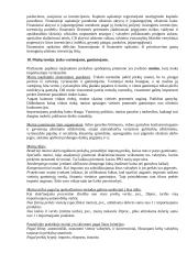 Tarptautiniai ekonominiai ryšiai 10 puslapis