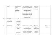 5-6 klasės muzikos pamokų planai 12 puslapis