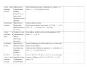 Filmų kūrimo pamokų planai 3 puslapis