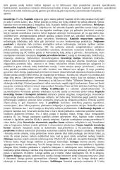 Tarptautiniai ekonominiai santykiai 3 puslapis