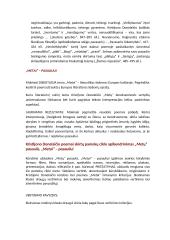 Lietuvių kalbos pamokų "K. Donelaitis "Metai" planai 4 puslapis