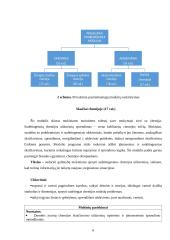 Chemijos pamokų "Skaičiai chemijoje" planai 6 puslapis