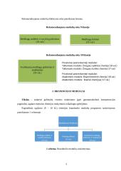 Chemijos pamokų "Eksperimentinė chemija" planai 3 puslapis