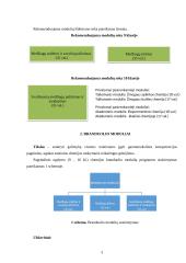 Chemijos pamokų "Medžiagų sudėties ir savybių pažinimas" planai 3 puslapis