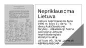 Demokratinės Lietuvos pasiekimai politikoje 3 puslapis