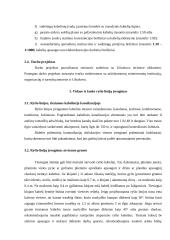 Telekomunikacija 4 puslapis