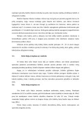 Telekomunikacija 5 puslapis