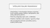 Žmonių veiklos įtaka atmosferai ir klimatui 4 puslapis