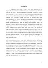 Kokia valiuta kaupiami užsienio valiutos rezervai? 10 puslapis