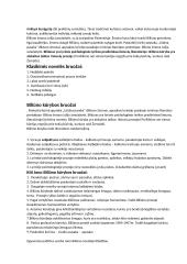 Jonas Biliūnas - biografija, kūrybos bruožai ir pagrindiniai kūriniai 2 puslapis