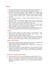 Šatrijos Ragana 1877-1930 2 puslapis