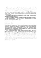 Pagrindiniai graikų mitai 3 puslapis