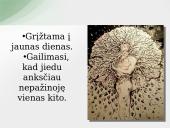 J. Biliūno ,,Liūdna pasaka" 11 puslapis