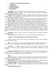 Transporto sistemų komponentai 2 puslapis