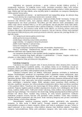 Transporto sistemų komponentai 5 puslapis