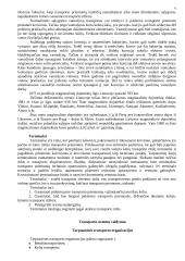 Transporto sistemų komponentai 6 puslapis
