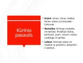 Taip niekas tavęs nemylės. Maironis 14 puslapis