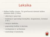 Žiniasklaidos kalba ir stilius  13 puslapis