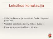 Žiniasklaidos kalba ir stilius  17 puslapis