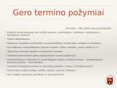 Žiniasklaidos kalba ir stilius  20 puslapis