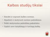 Žiniasklaidos kalba ir stilius  4 puslapis