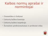 Žiniasklaidos kalba ir stilius  7 puslapis