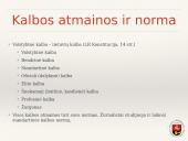 Žiniasklaidos kalba ir stilius  8 puslapis