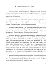 Apsikeitimo sandorių rinkos efektyvumas 2 puslapis