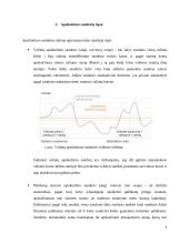 Apsikeitimo sandorių rinkos efektyvumas 3 puslapis