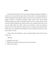 Ar Lietuvai reikalingi užsienio valiutos rezervai Lietuvai prisijungus prie euro zonos? 2 puslapis