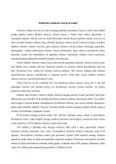 Ar Lietuvai reikalingi užsienio valiutos rezervai Lietuvai prisijungus prie euro zonos? 3 puslapis