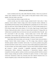 Ar Lietuvai reikalingi užsienio valiutos rezervai Lietuvai prisijungus prie euro zonos? 7 puslapis