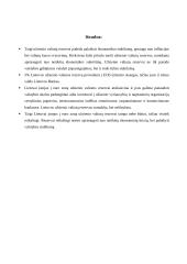 Ar Lietuvai reikalingi užsienio valiutos rezervai Lietuvai prisijungus prie euro zonos? 9 puslapis