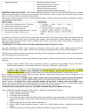 VU Ekonomikos specialybės Tarptautinių finansų paskaitos (3 kursas) egzamino pasiruošimo medžiaga 4 puslapis