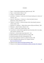 Bankininkystės patikimumas. Vertinimo rodikliai. 11 puslapis