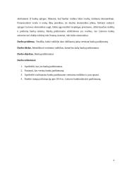 Bankininkystės patikimumas. Vertinimo rodikliai. 3 puslapis