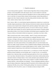 Bankininkystės patikimumas. Vertinimo rodikliai. 5 puslapis