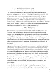 Bankininkystės patikimumas. Vertinimo rodikliai. 8 puslapis