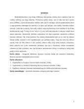 Europos centrinio banko ir Amerikos Federalinių Rezervų sistemos bendradarbiavimo formos 2 puslapis