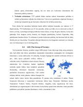 Europos centrinio banko ir Amerikos Federalinių Rezervų sistemos bendradarbiavimo formos 8 puslapis