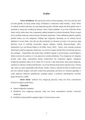 Tėvų emigraciją patyrusių vaikų socializacijos ypatumai 2 puslapis