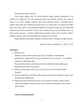 Teksto suvokimo klausimai ir dalykinis tekstas 2 puslapis