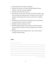 Teksto suvokimo klausimai ir dalykinis tekstas 4 puslapis