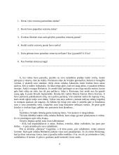 Grožinis tekstas 4 puslapis