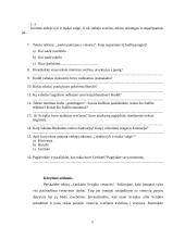 Grožinis tekstas 5 puslapis