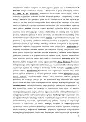 Valdymo apskaita (konspektas) 2 puslapis