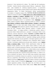 Valdymo apskaita (konspektas) 13 puslapis