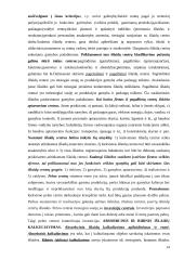 Valdymo apskaita (konspektas) 14 puslapis