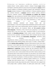 Valdymo apskaita (konspektas) 20 puslapis